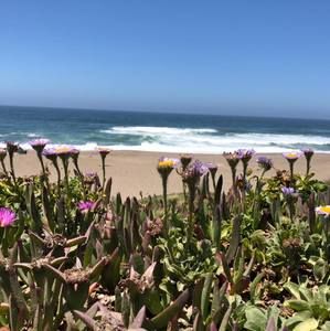 Meet your Posher, Stacey